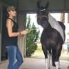 kristenven0003